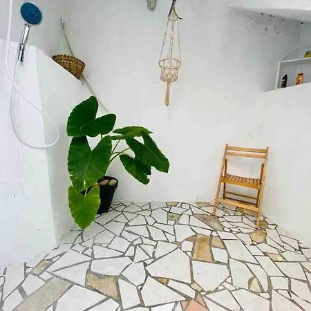 Habitation Nala Proche Bourg Appartamento Terre-De-Haut Esterno foto