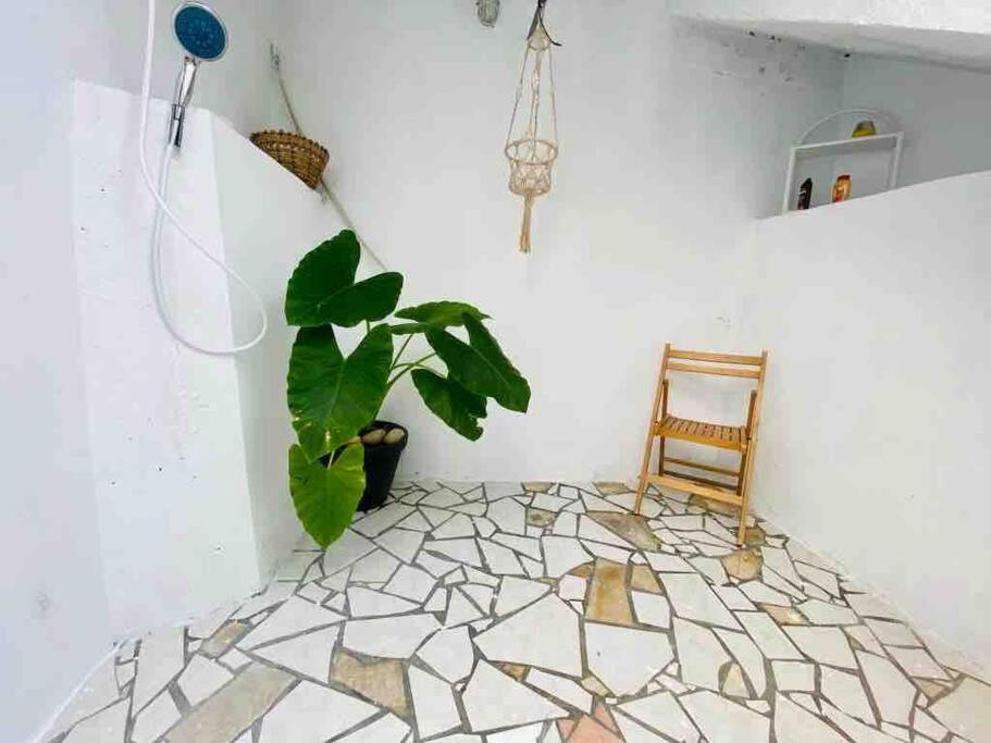 Habitation Nala Proche Bourg Appartamento Terre-De-Haut Esterno foto